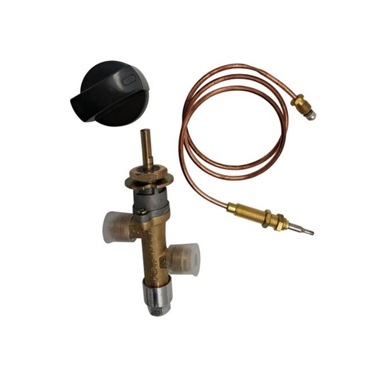 بروبان LPG غاز حريق الحفرة التحكم في صمام السلامة صمام FLAME FLAME صمام سخان الغاز مع الحرارية ومقبض