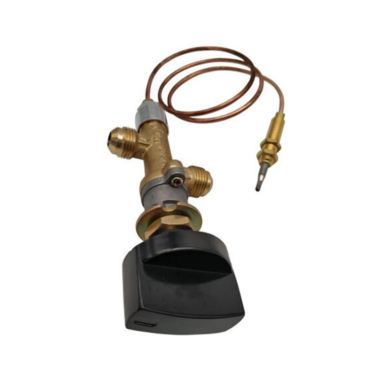 بروبان LPG غاز حريق الحفرة التحكم في صمام السلامة صمام FLAME FLAME صمام سخان الغاز مع الحرارية ومقبض
