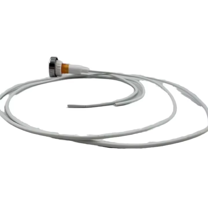 Sinopts مؤشر سخان المياه الملحقات الضوء 220V LED ضوء